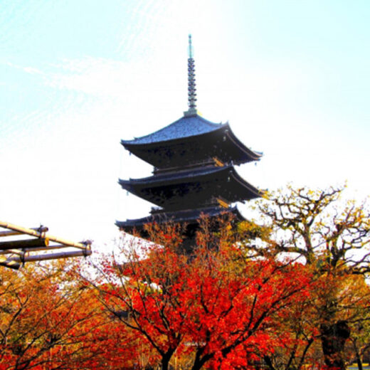 說起京都特有的風景就是五重塔