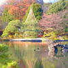祇園的圓山公園就是這種地方的代表。