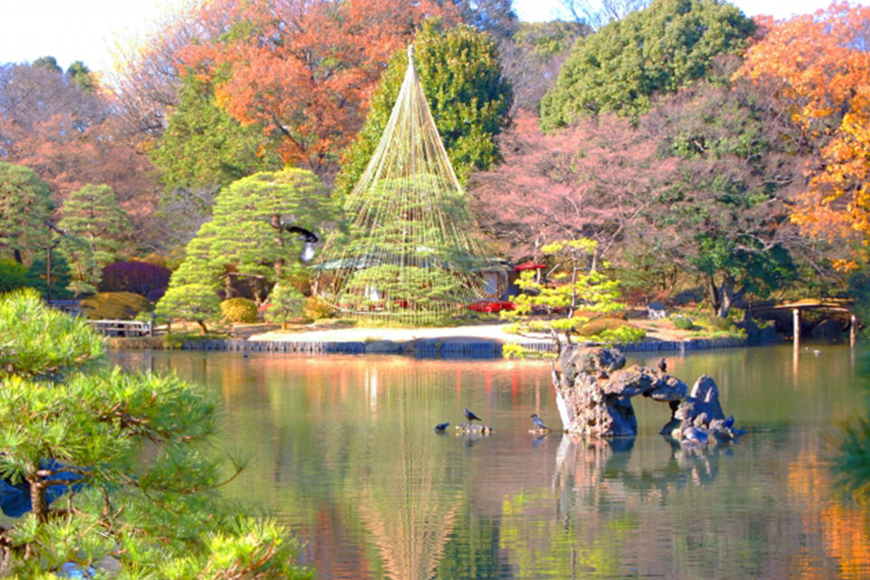 祇園的圓山公園就是這種地方的代表。