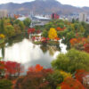 楓葉季節的京都的飯店也很擁擠！