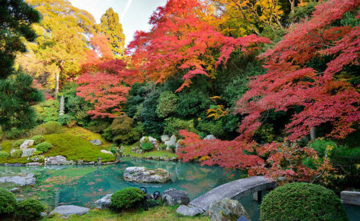 想看京都美麗的楓葉的話，推薦「青蓮院」！