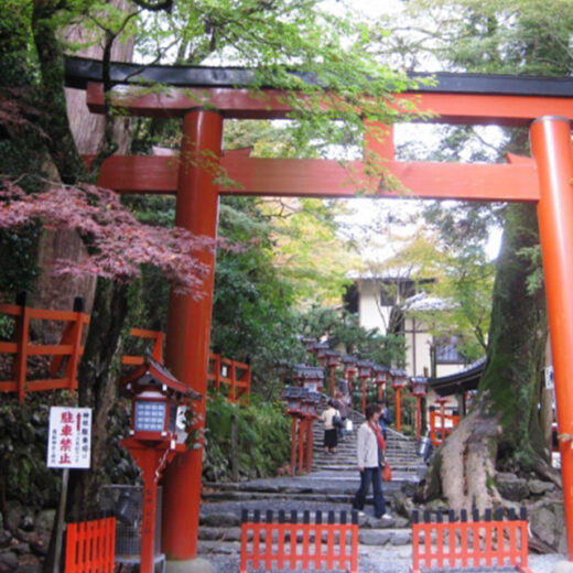 京都的楓葉和能量景點巡遊