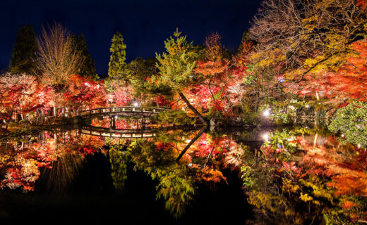 夜晚觀賞楓葉是京都的永觀堂！
