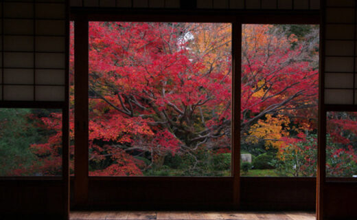 介紹京都的畫框景點！！