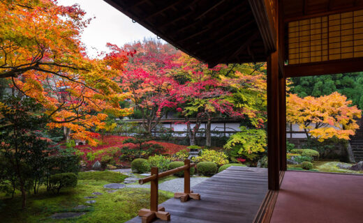 如果想看京都的楓葉的話，推薦泉湧寺。