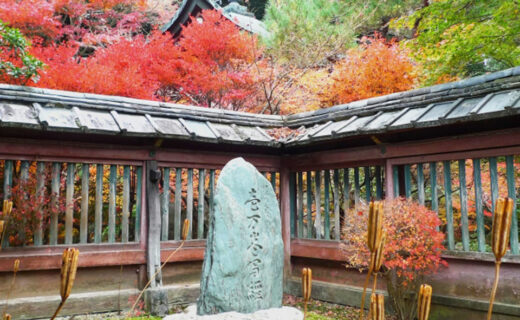 在京都作為鮮為人知的楓葉聖地而備受矚目的毘沙門堂是