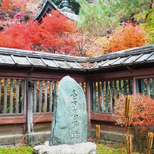 在京都作為鮮為人知的楓葉聖地而備受矚目的毘沙門堂是