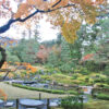 近代日本庭園中觀賞的楓葉之美是。