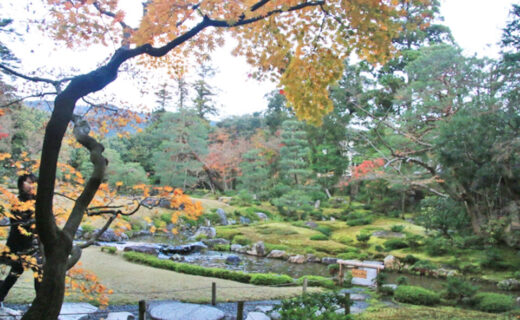 近代日本庭園中觀賞的楓葉之美是。