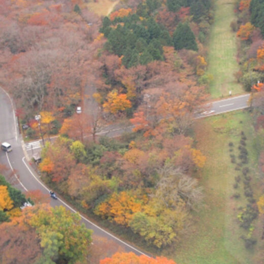 乘坐直升飛機從空中飽覽京都的楓葉！