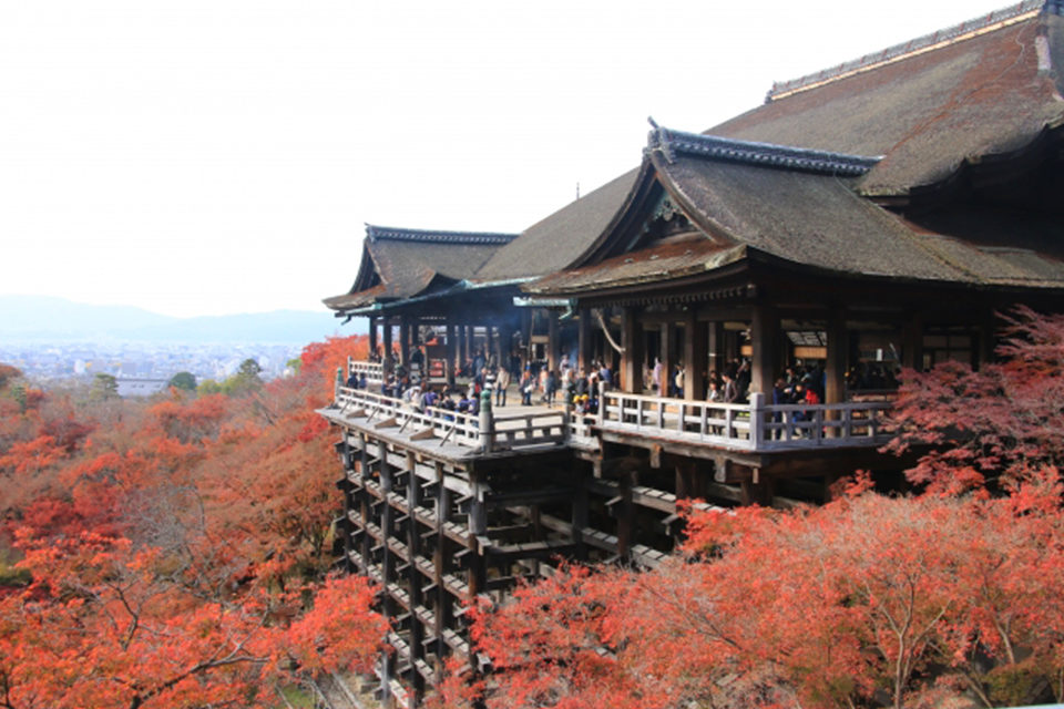 享受京都的世界遺產和美麗的楓葉的和諧！