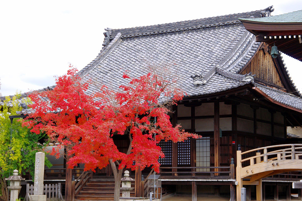 要看京都楓葉的話，推薦西陣。