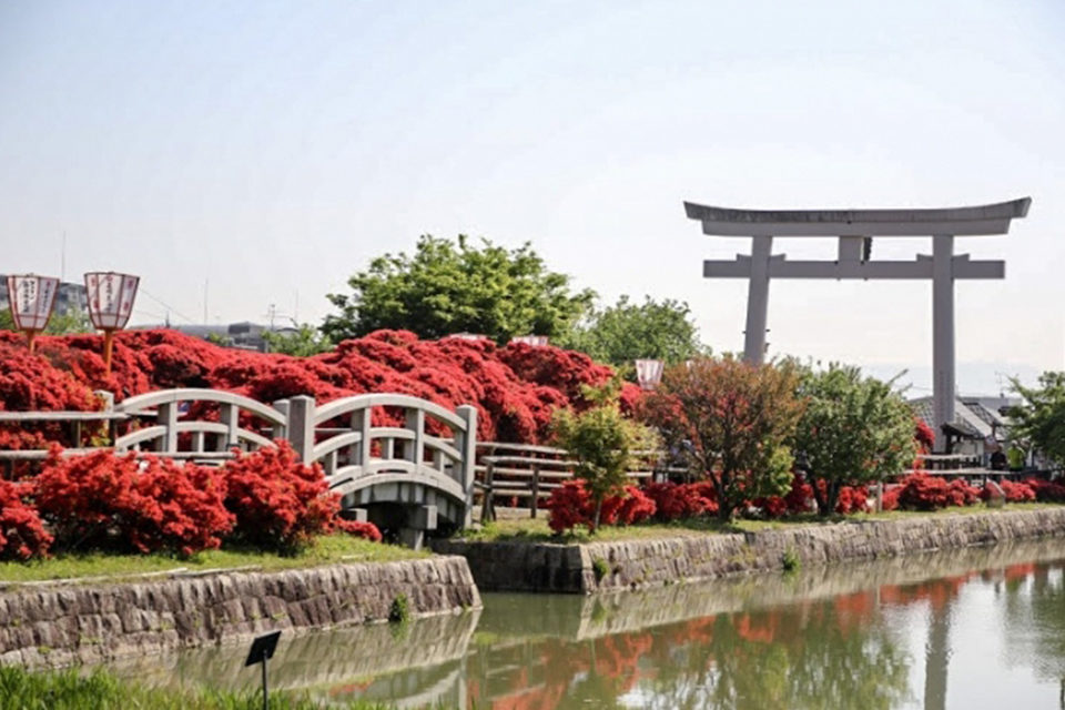 美麗的京都楓葉和瀑布的聲音一起享受！