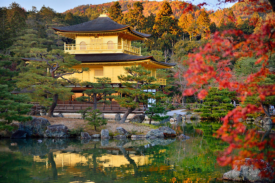 秋天和寵物一起去京都