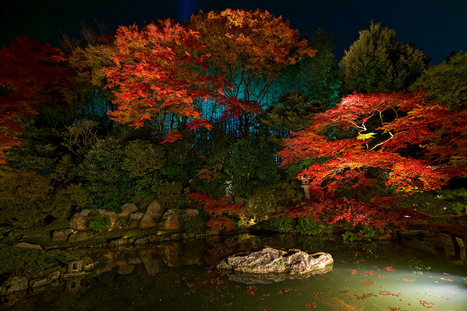 想看京都美麗的楓葉的話，推薦「青蓮院」！