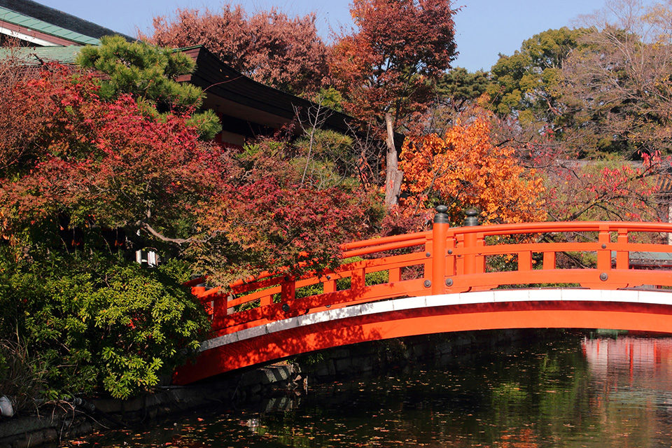 說到能在京都中心部欣賞楓葉的名勝，那就是六角堂！
