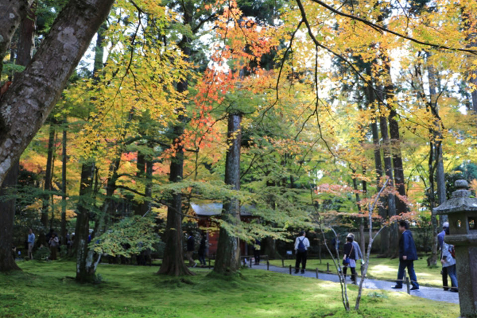 說到秋天的京都，果然還是楓葉和抹茶！