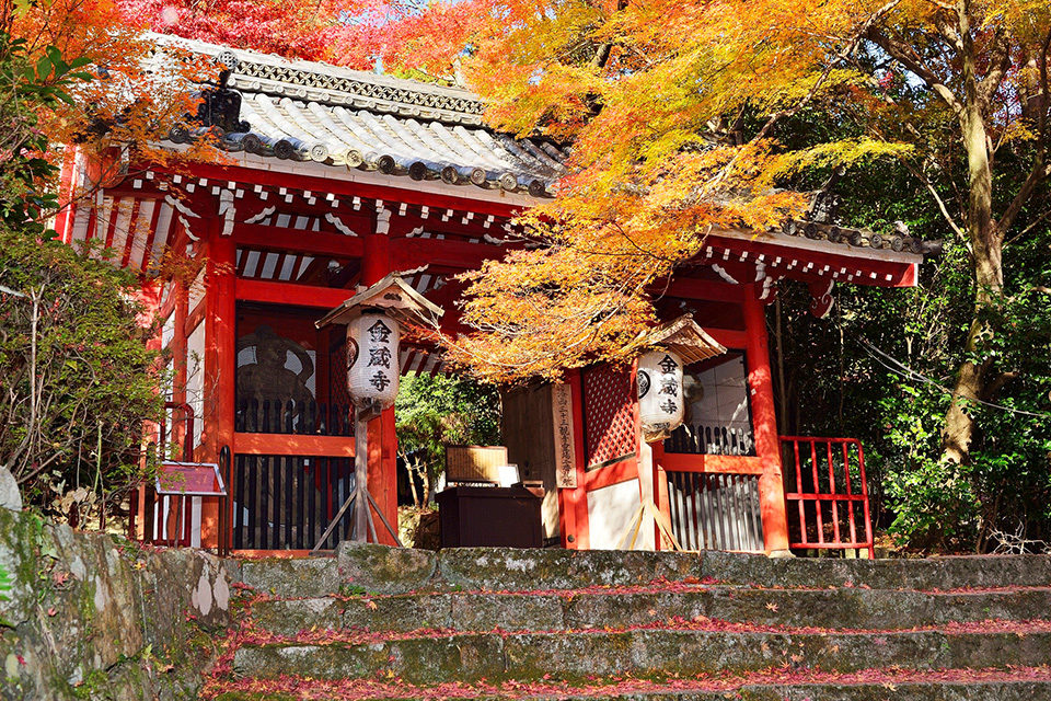 京都楓葉的鮮為人知的觀光景點？！