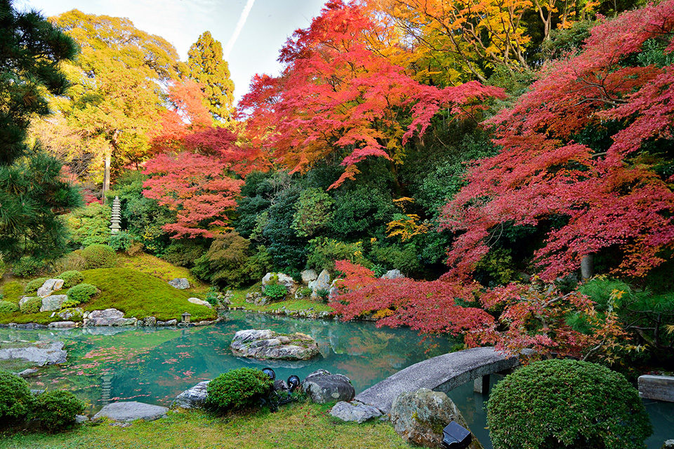 美麗的京都楓葉和瀑布的聲音一起享受！