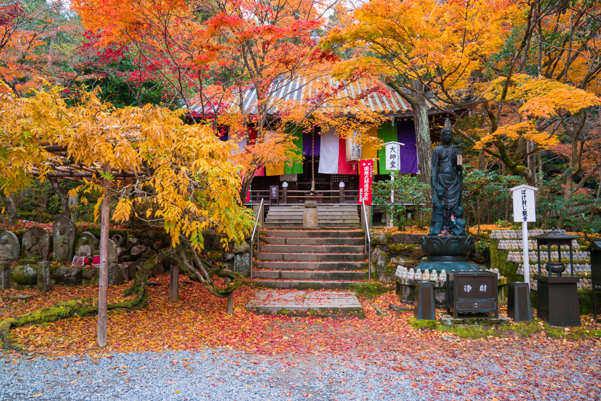 如果想看京都的楓葉的話，推薦泉湧寺。