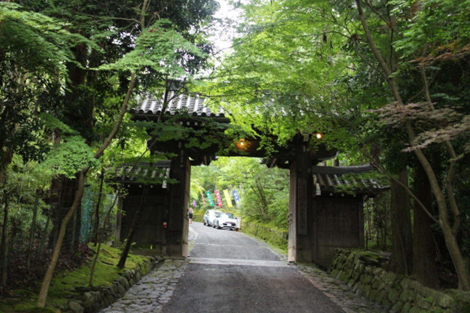 京都的楓葉和能量景點巡遊！