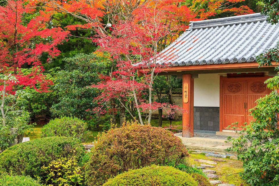 一邊欣賞京都美麗的楓葉，一邊巡遊禦朱印！