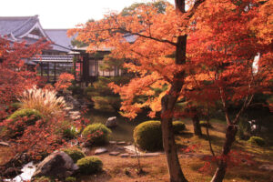 如果想欣賞京都的楓葉就去大覺寺！推薦的景點和周邊觀光景點是？