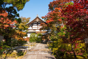 被登錄為世界遺產的京都天龍寺！楓葉之美也別具一格！最佳觀賞期和推薦點是？？