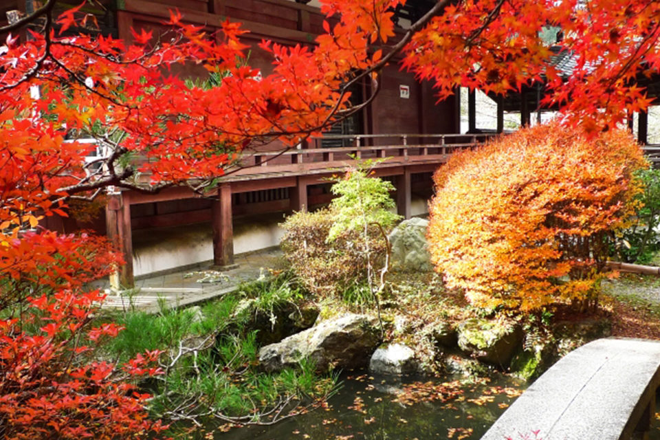 京都的山科有名的景點是