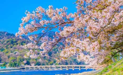 京都有名的觀光地「嵐山」