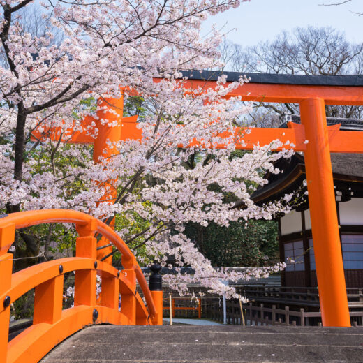 介紹京都的神社