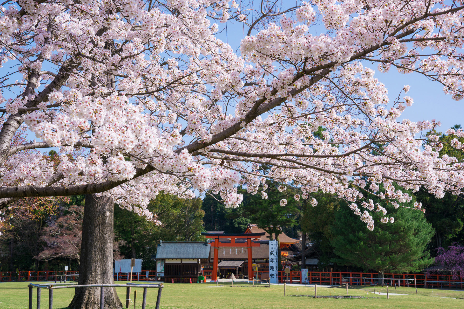 2021年春天的京都