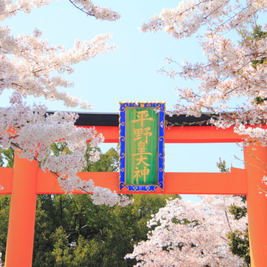 京都平野神社的魅力是