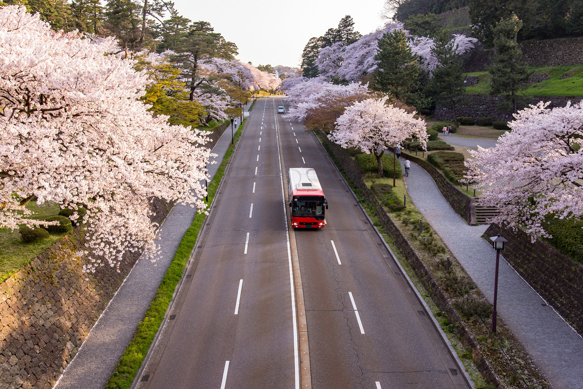 被稱為櫻花名勝的京都推薦的觀光景點是？
